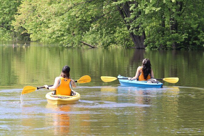 Ottawa Ecological Reserve Kayak Tour with TURTLE Sightings - Introduction to the Ottawa Ecological Reserve Kayak Tour