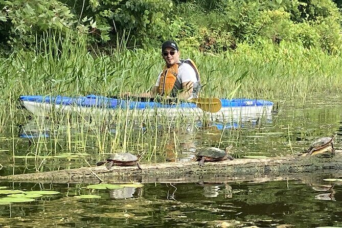 Ottawa Ecological Reserve Kayak Tour with TURTLE Sightings - The Value for Money