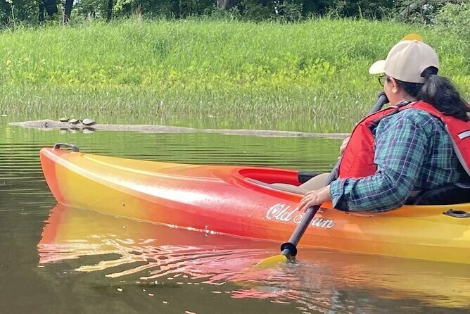 Ottawa Ecological Reserve Kayak Tour with TURTLE Sightings - FAQ