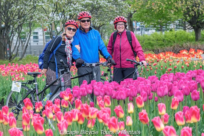 Ottawa Highlights 3.5 Hour Bike Tour - Tour Logistics
