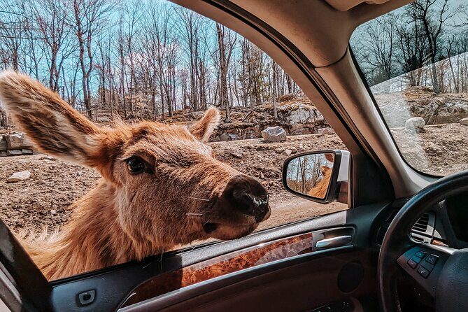 Ottawa Parc Omega Private Tour with Hotel Transfer - Key Points
