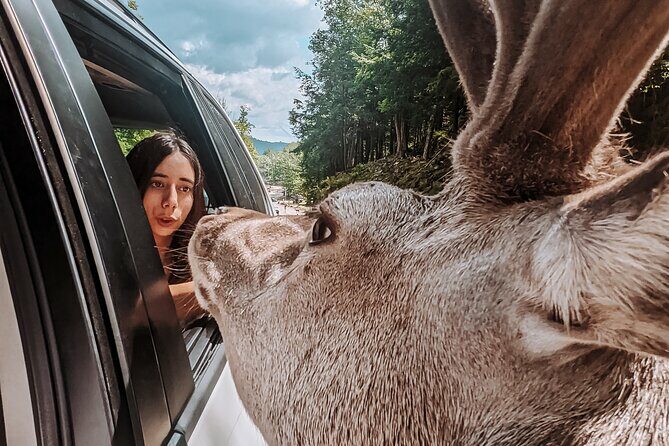 Ottawa Parc Omega Private Tour with Hotel Transfer - What Is the Ottawa Parc Omega Private Tour?