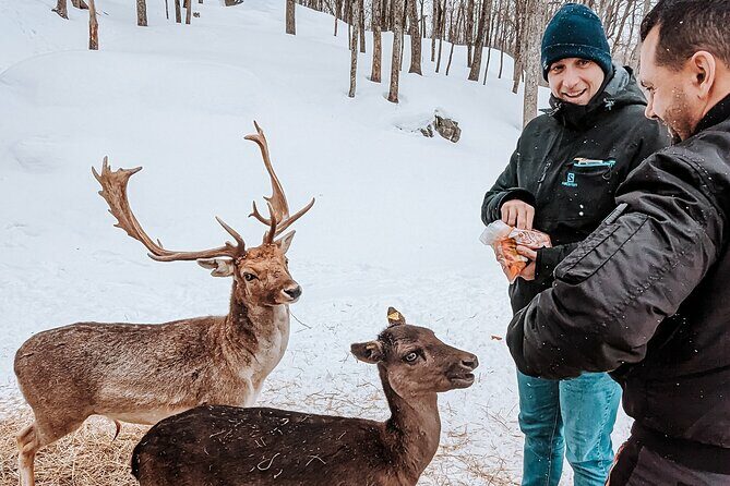 Ottawa Parc Omega Private Tour with Hotel Transfer - Why Choose This Tour?