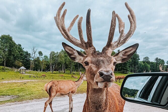 Ottawa Parc Omega Private Tour with Hotel Transfer - Is It Worth the Price?