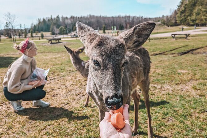 Ottawa Parc Omega Private Tour with Hotel Transfer - Final Thoughts