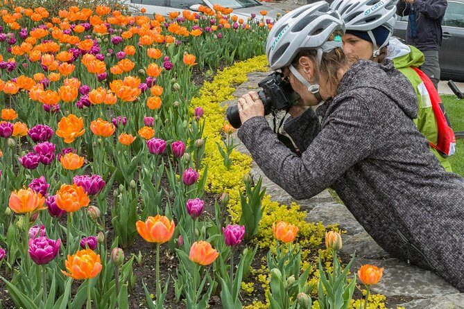 Ottawa Spring Tulip Festival Bike Tour - An In-Depth Look at the Ottawa Spring Tulip Festival Bike Tour