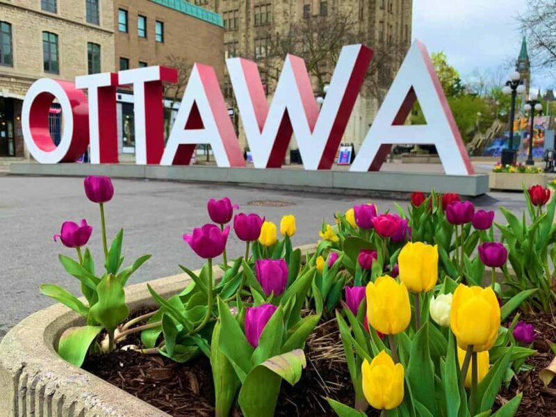 Ottawa: Tulip Festival and ByWard Market Tour - Key Points