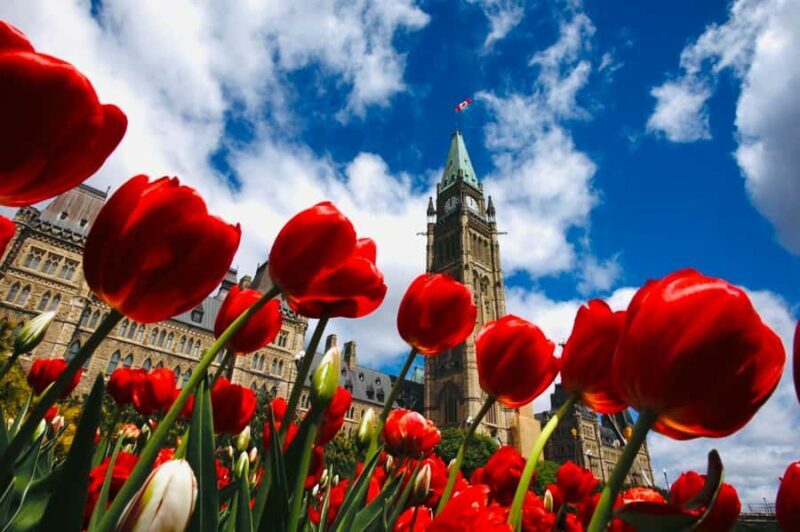 Ottawa: Tulip Festival and ByWard Market Tour - The Sum Up