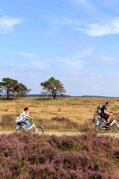 Otterlo: De Hoge Veluwe National Park Entry Ticket - Meeting Points