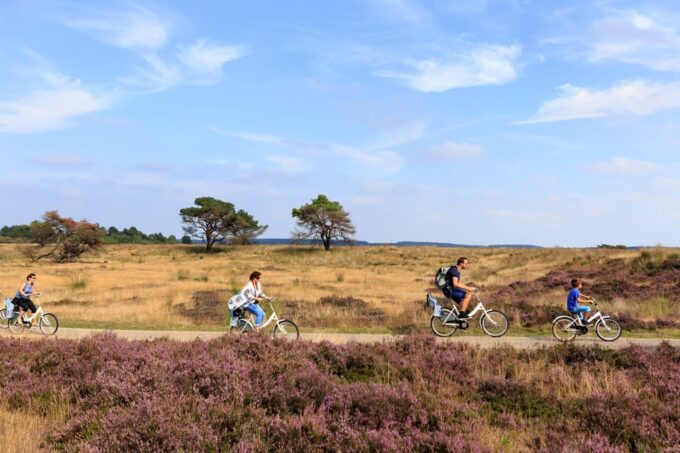 Otterlo: De Hoge Veluwe National Park Entry Ticket - Frequently Asked Questions