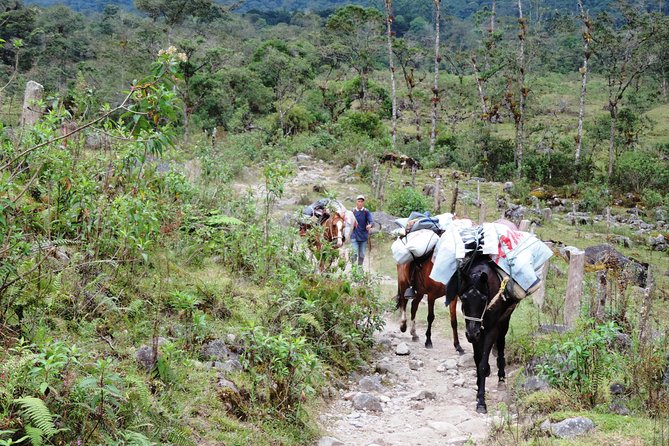 Otún Basin Crossing 3 Days 2 Nights - Itinerary and Schedule