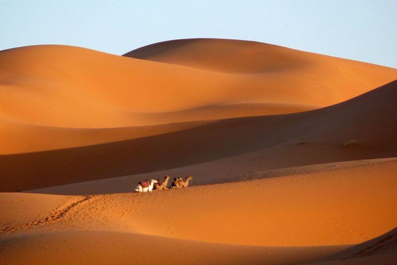 Ouarzazate: Tinfou Dunes, Camp & Camel Ride Day Trip - 1 Day - Itinerary Highlights