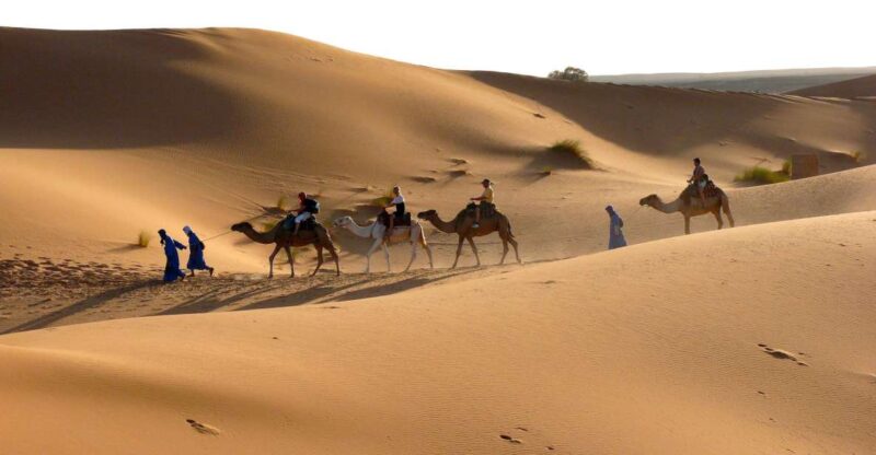 Ouarzazate: Tinfou Dunes, Camp & Camel Ride Day Trip - 1 Day - Lunch in a Nomad Tent