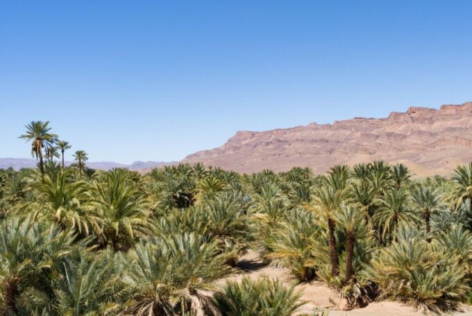 Ouarzazate: Tinfou Dunes, Camp & Camel Ride Day Trip - 1 Day - Frequently Asked Questions