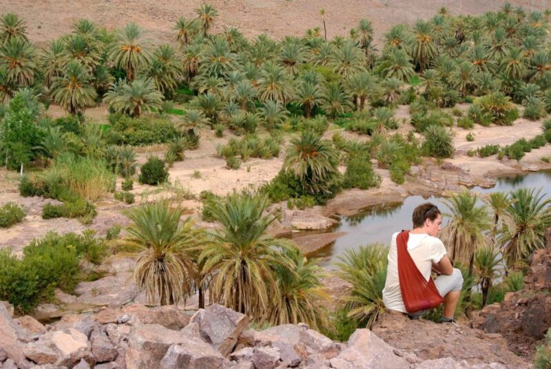 Ouazazate: Kasbah Ait Ben Haddou, Fint Oasis, Film Studios - Key Points