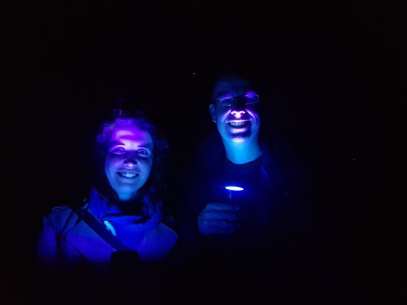 Oudtshoorn: Klein Karoo Nighttime Walking Tour in Nature - Key Points