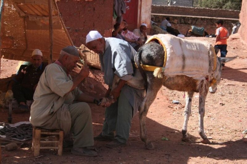 Ouirgan Berber Villages & Salt Mine Day Trip From Marrakech - Key Points