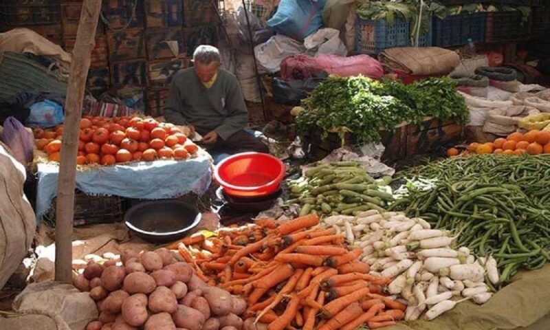 Ouirgan Berber Villages & Salt Mine Day Trip From Marrakech - Itinerary Details