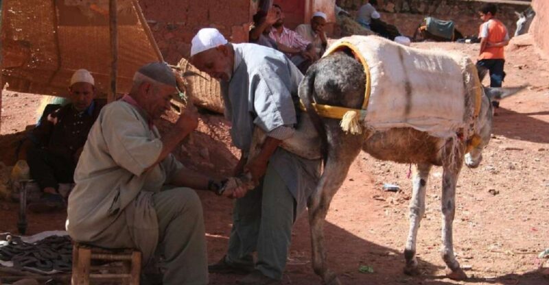Ouirgan Berber Villages & Salt Mine Day Trip From Marrakech - Starting and Return Points