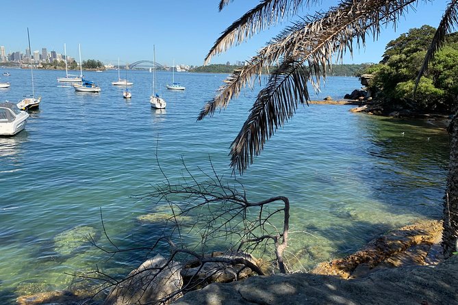 Our Best Hidden Harbour Beaches Tour - Transportation and Accessibility