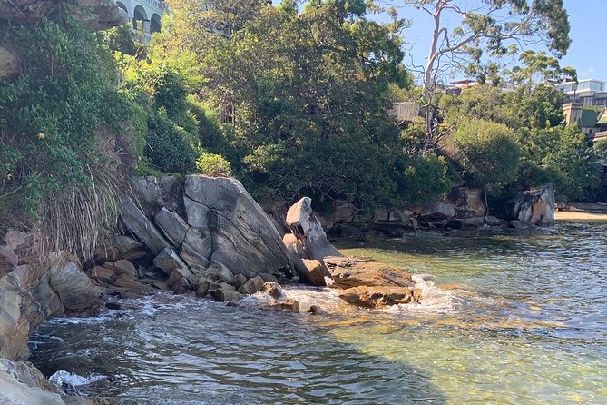 Our Best Hidden Harbour Beaches Tour - Customer Feedback