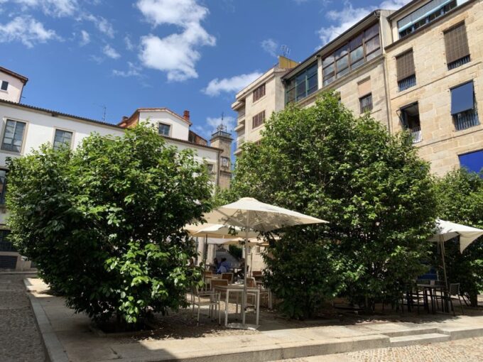 Ourense: 2-Hour Private City Walking Tour - Tour Price