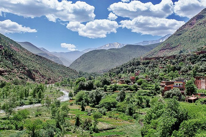 Ourika Marrakesh Day Trip - Itinerary Highlights