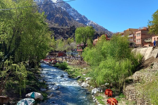 Ourika Valley and Atlas Mountains Day Trip - Accessibility and Participation