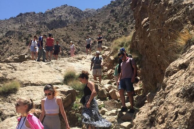 Ourika Valley and Atlas Mountains Day Trip - Itinerary Highlights