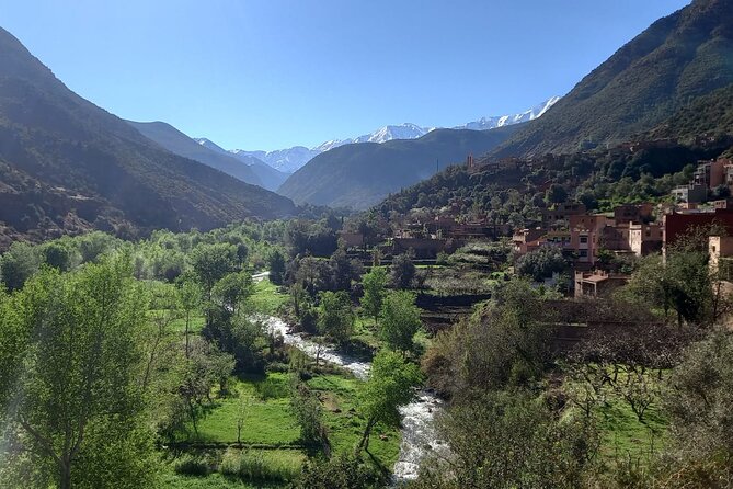 Ourika Valley and Atlas Mountains Day Trip - Tour Duration and Pace