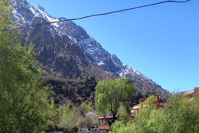 Ourika Valley and Atlas Mountains Day Trip - Traveler Reviews