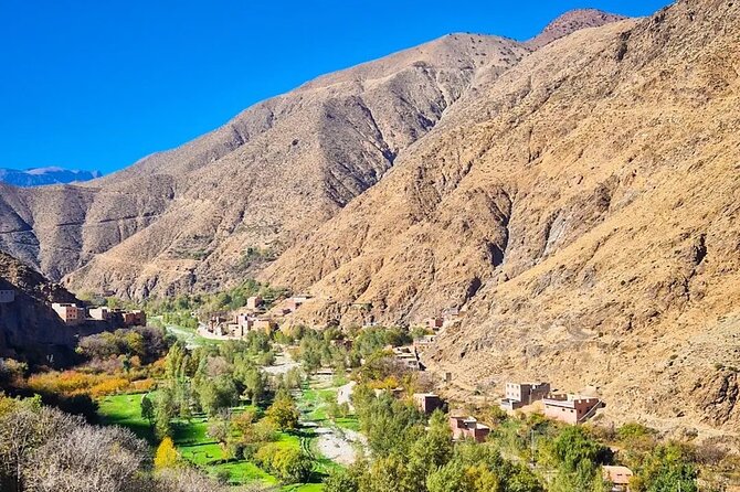 Ourika Valley and Atlas Mountains Day Trip From Marrakech - Inclusions and Pickup