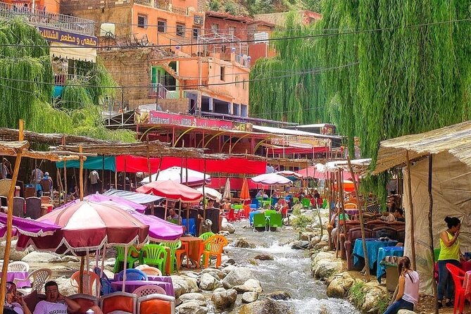 Ourika Valley and Atlas Mountains Day Trip From Marrakech - Highlights of the Excursion