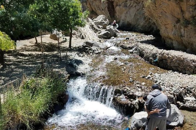 Ourika Valley : Atlas Mountains Day Trip From Marrakech - Guided Options and Costs
