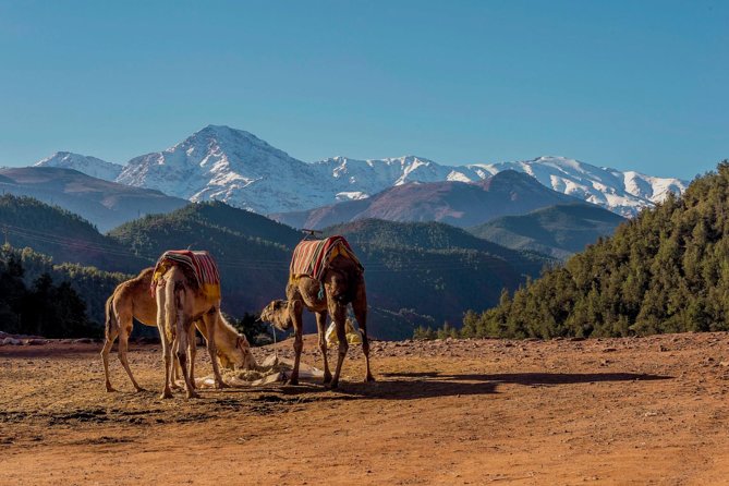 Ourika Valley : Atlas Mountains Day Trip From Marrakech - Exploring the Lush Landscapes