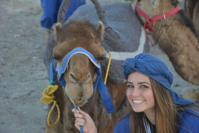 Ourika Valley & Atlas Mountains Day Trip From Marrakech - Suitability and Restrictions