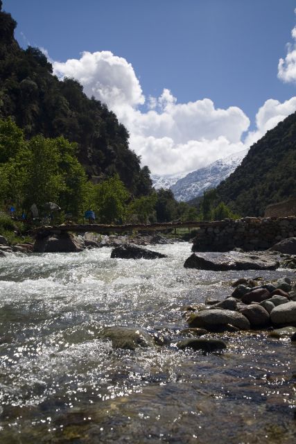 Ourika Valley & Atlas Mountains Full-Day Tour & Lunch - Activities and Offerings