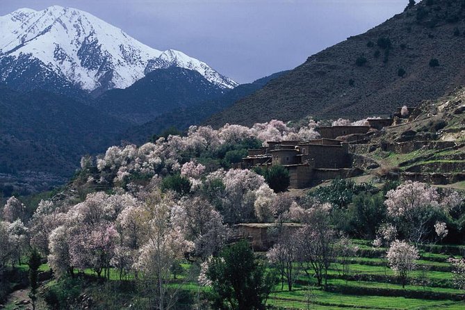 Ourika Valley Day Trip - Tour Inclusions