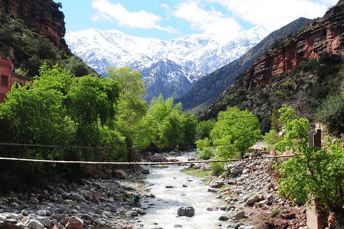 Ourika Valley Day Trip &Atlas Mountain &Water Falls - Exploring Ourika Valley and Atlas Mountain