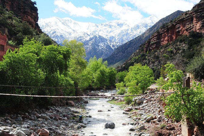 Ourika Valley Day Trip From Marrakech - Meeting and Pickup Details