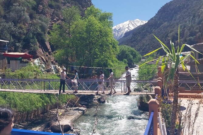 Ourika Valley Day Trip From Marrakech - Expectations and Accessibility