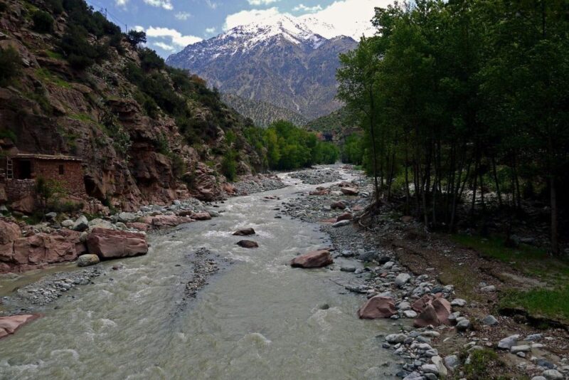 Ourika Valley Day Trip From Marrakech - Age Requirements and Participant Information