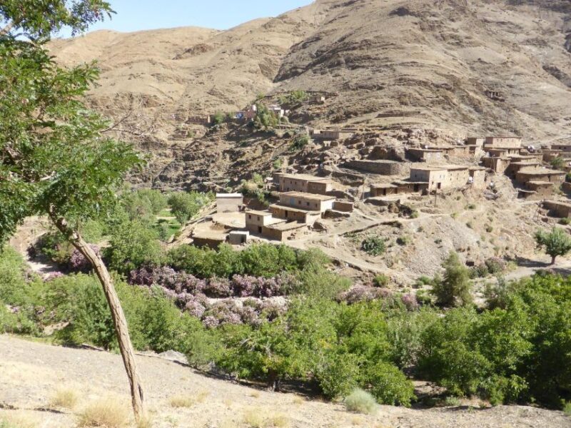 Ourika Valley Day Trip From Marrakech - Customer Feedback and Ratings