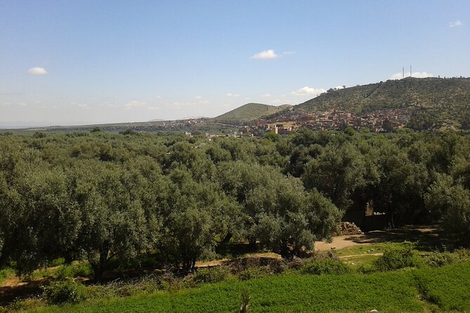 Ourika Valley Day Trip Marrakech Morocco - Exploring the Ourika Valley Landscape