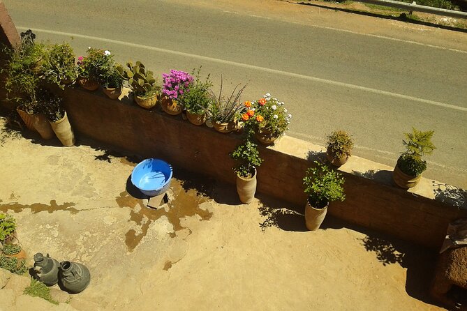 Ourika Valley Day Trip Marrakech Morocco - Feedback From Satisfied Ourika Valley Travelers