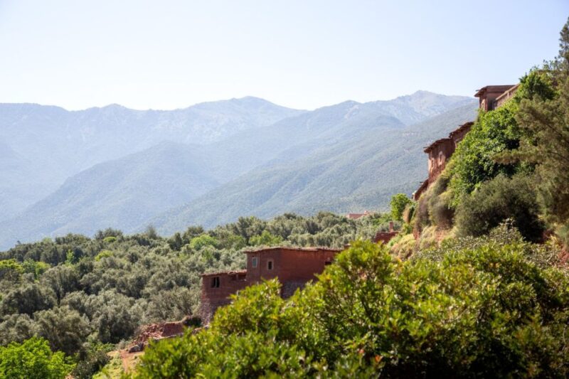 Ourika Valley Excursion From Marrakech - Highlights and Experiences