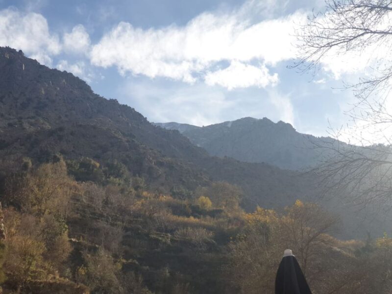 Ourika Valley Excursion From Marrakech - Pricing and Duration