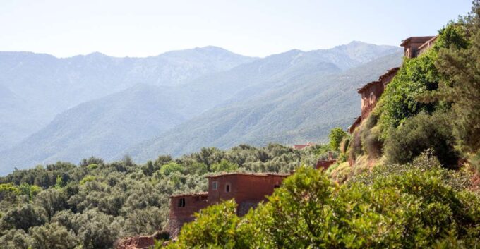 Ourika Valley Excursion From Marrakech - Customer Feedback