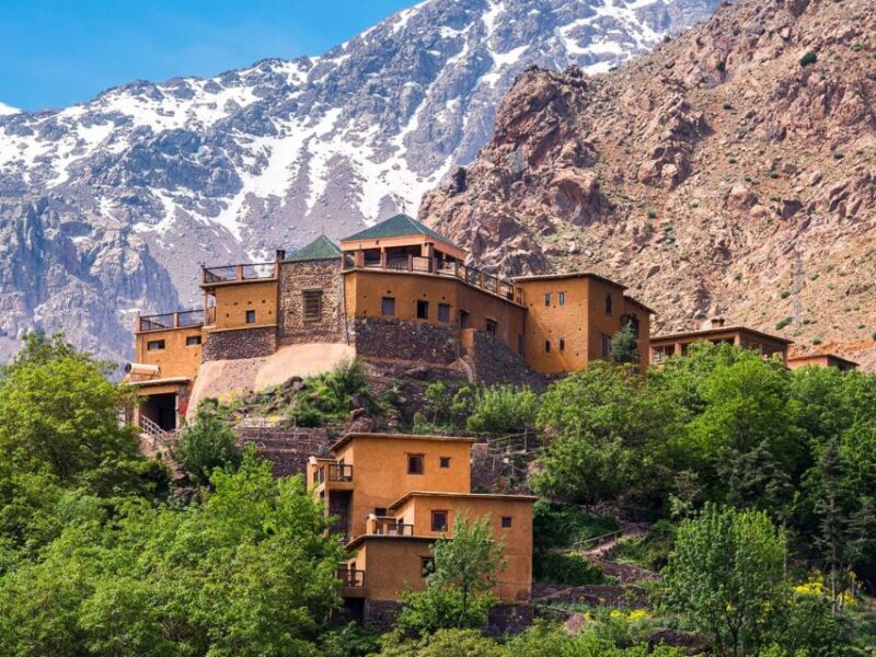 Ourika Valley With a Berber Lunch and Camel Ride - Itinerary Highlights