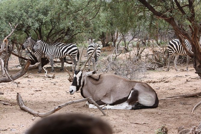 Out of Africa Wildlife Park Admission Ticket - Inclusions in General Admission